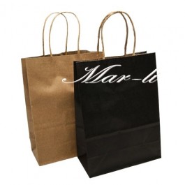 Пакети паперові 12 шт. (21.5 х 16 х 8 см.) 6-5634