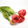 Квіти штучні "тюльпани  силіконові " букет 5 шт. (д. 39 см.) 6-5917